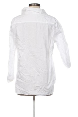 Dámska košeľa  Manguun, Veľkosť L, Farba Biela, Cena  15,95 €