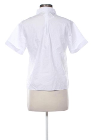 Damenbluse Next, Größe S, Farbe Weiß, Preis 22,99 €