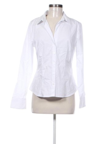 Dámska košeľa  Stradivarius, Veľkosť L, Farba Biela, Cena  19,95 €