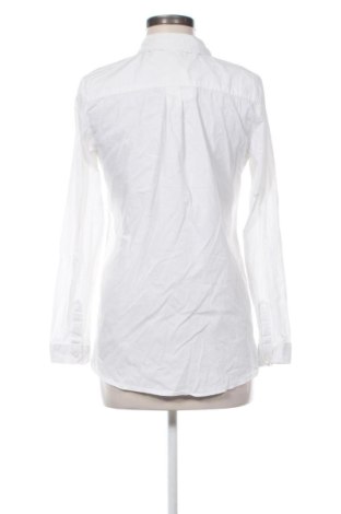 Γυναικείο πουκάμισο Street One, Μέγεθος M, Χρώμα Εκρού, Τιμή 6,42 €