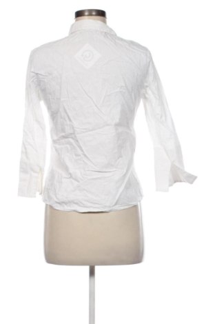 Damenbluse Unbranded, Größe S, Farbe Weiß, Preis 13,00 €