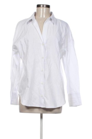 Damenbluse Zara, Größe M, Farbe Weiß, Preis 17,99 €