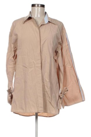 Damenbluse Zara, Größe XL, Farbe Beige, Preis 13,81 €