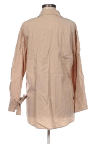 Damenbluse Zara, Größe XL, Farbe Beige, Preis 13,81 €