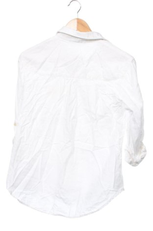 Dámska košeľa  Zara, Veľkosť XS, Farba Biela, Cena  14,00 €
