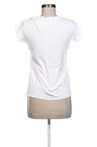 Damen T-Shirt Jake*s, Größe M, Farbe Mehrfarbig, Preis 10,00 €