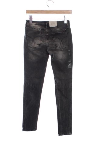 Damen Jeans Calvin Klein Jeans, Größe S, Farbe Grau, Preis 104,99 €