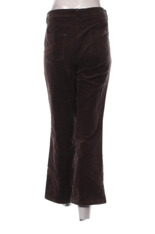 Damskie sztruksy Biaggini, Rozmiar XL, Kolor Brązowy, Cena 80,38 zł