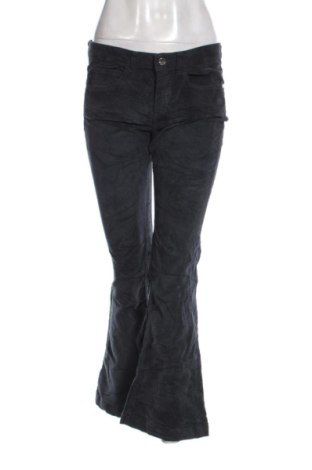 Damskie sztruksy Kaos, Rozmiar M, Kolor Niebieski, Cena 277,99 zł