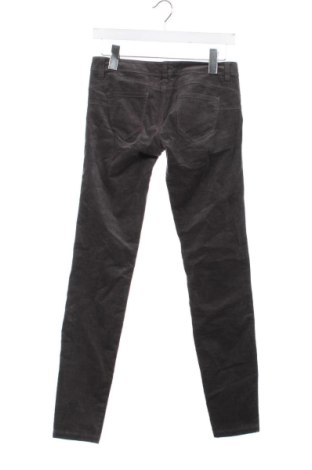 Pantaloni de velvet de femei United Colors Of Benetton, Mărime M, Culoare Gri, Preț 151,99 Lei