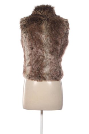 Damenweste Motivi, Größe S, Farbe Braun, Preis 25,99 €