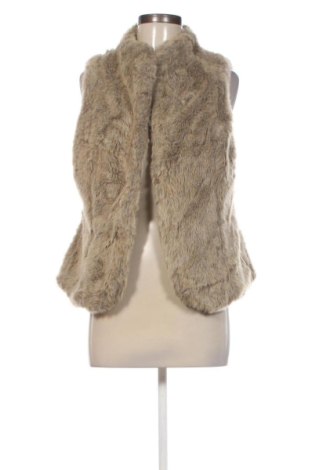 Dámska vesta  Motivi, Veľkosť M, Farba Béžová, Cena  23,95 €