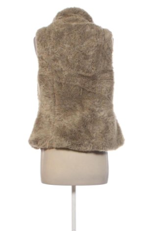 Dámska vesta  Motivi, Veľkosť M, Farba Béžová, Cena  23,95 €