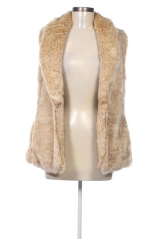 Дамски елек Sanctuary, Размер S, Цвят Многоцветен, Цена 17,89 €