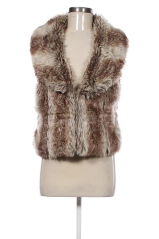 Γυναικείο γιλέκο Unbranded, Μέγεθος L, Χρώμα Πολύχρωμο, Τιμή 17,99 €