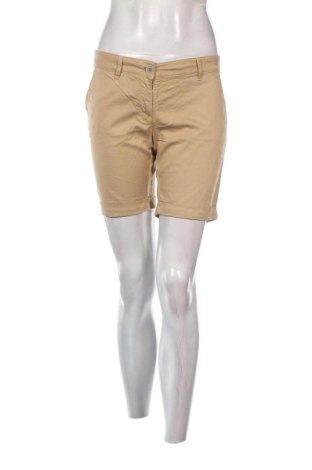 Damen Shorts U.S. Polo Assn., Größe M, Farbe Braun, Preis 24,55 €