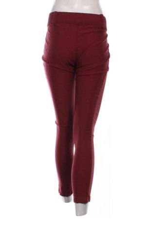 Colant de femei Chicoree, Mărime XL, Culoare Roșu, Preț 96,24 Lei