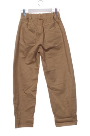 Damskie spodnie Blue Joint, Rozmiar XS, Kolor Brązowy, Cena 123,99 zł