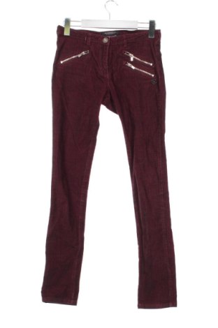 Damen Cordhose Maison Scotch, Größe M, Farbe Mehrfarbig, Preis 68,99 €