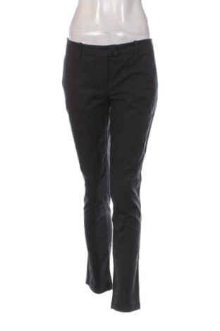 Damenhose Sisley, Größe L, Farbe Schwarz, Preis 32,00 €