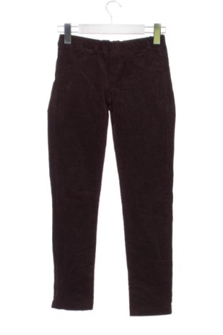 Damskie spodnie Terranova, Rozmiar XS, Kolor Brązowy, Cena 78,99 zł