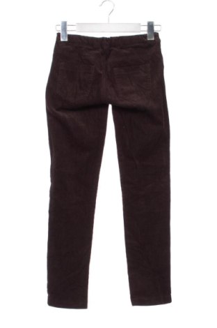 Damskie spodnie Terranova, Rozmiar XS, Kolor Brązowy, Cena 78,99 zł