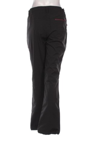 Дамски панталон за зимни спортове Crane, Размер XL, Цвят Черен, Цена 50,00 €