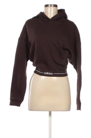 Damen Sweatshirt Adidas, Größe XS, Farbe Braun, Preis 71,99 €