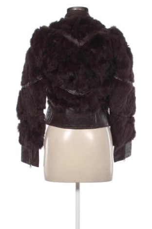 Női bőrdzseki Blanca, Méret S, Szín Barna, Ár 52 156 Ft