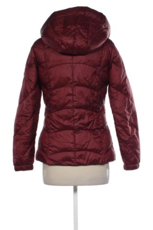 Geacă de femei Diverse, Mărime S, Culoare Roșu, Preț 154,69 Lei