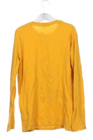 Dětská halenka  Calliope, Velikost 11-12y/ 152-158 cm, Barva Vícebarevné, Cena  163,00 Kč