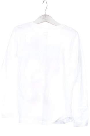 Dětská halenka  Disney, Velikost 5-6y/ 116-122 cm, Barva Vícebarevné, Cena  304,00 Kč