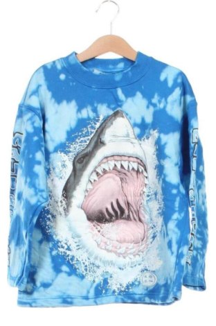 Детска блуза Maui, Размер 9-12m/ 74-80 см, Цвят Многоцветен, Цена 6,13 €