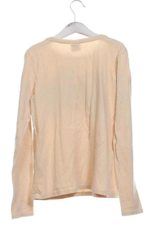 Детска блуза Page One, Размер 10-11y/ 146-152 см, Цвят Кафяв, Цена 6,00 €