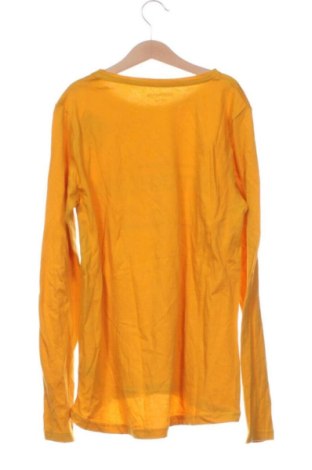 Dětská halenka  Unbranded, Velikost 12-13y/ 158-164 cm, Barva Vícebarevné, Cena  163,00 Kč