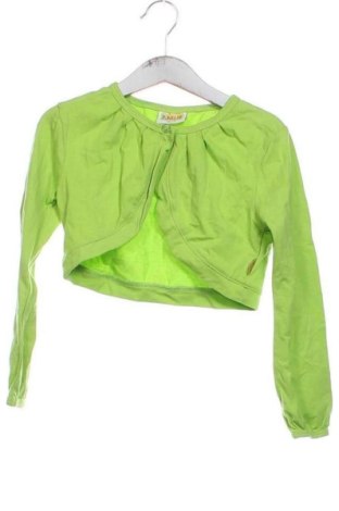 Dětský kardigán Unbranded, Velikost 4-5y/ 110-116 cm, Barva Zelená, Cena  259,00 Kč