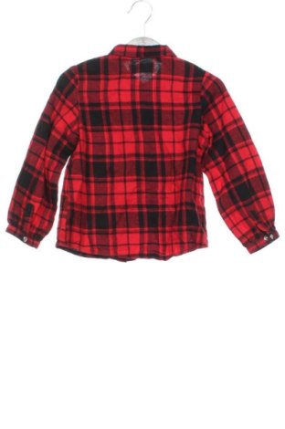 Kinderhemd Piazza Italia, Größe 18-24m/ 86-98 cm, Farbe Mehrfarbig, Preis € 7,99