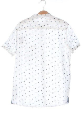 Kinderhemd Terranova, Größe 13-14y/ 164-168 cm, Farbe Mehrfarbig, Preis 5,00 €