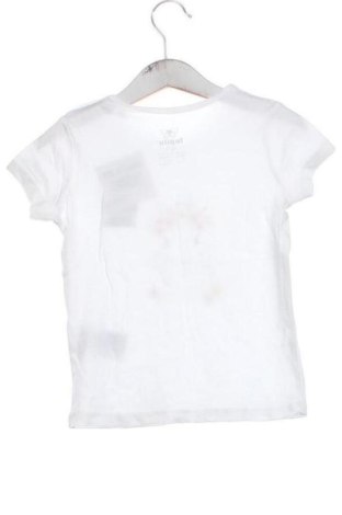 Детска тениска Lupilu, Размер 18-24m/ 86-98 см, Цвят Многоцветен, Цена 8,00 €