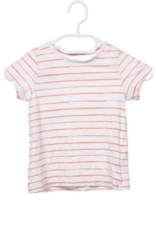 Tricou pentru copii Lupilu, Mărime 2-3y/ 98-104 cm, Culoare Multicolor, Preț 26,07 Lei