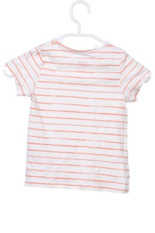 Tricou pentru copii Lupilu, Mărime 2-3y/ 98-104 cm, Culoare Multicolor, Preț 26,07 Lei