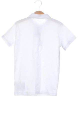 Detské tričko Next, Veľkosť 5-6y/ 116-122 cm, Farba Biela, Cena  20,95 €