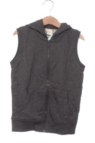 Παιδικό γιλέκο H&M, Μέγεθος 4-5y/ 110-116 εκ., Χρώμα Γκρί, Τιμή 20,99 €