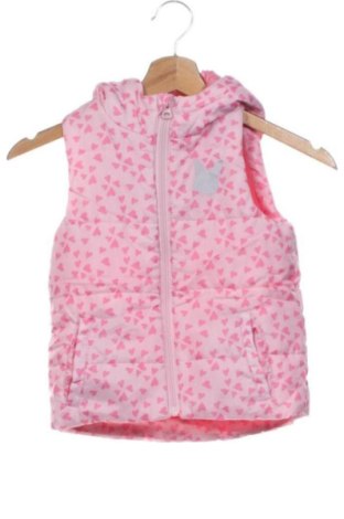 Παιδικό γιλέκο Lupilu, Μέγεθος 3-4y/ 104-110 εκ., Χρώμα Πολύχρωμο, Τιμή 12,99 €