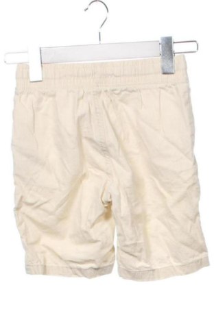 Dziecięce szorty Kids, Rozmiar 6-7y/ 122-128 cm, Kolor ecru, Cena 37,51 zł