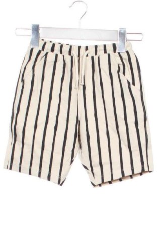 Kinder Shorts Next, Größe 4-5y/ 110-116 cm, Farbe Mehrfarbig, Preis 26,99 €