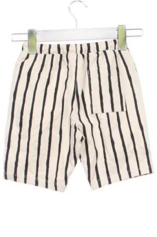 Kinder Shorts Next, Größe 4-5y/ 110-116 cm, Farbe Mehrfarbig, Preis 26,99 €