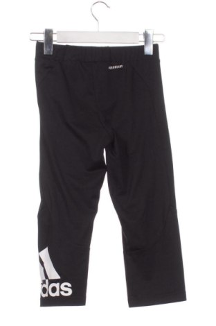 Kinderlegging Adidas, Größe 13-14y/ 164-168 cm, Farbe Mehrfarbig, Preis € 20,99