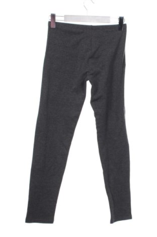 Colanți pentru copii Here+There, Mărime 15-18y/ 170-176 cm, Culoare Gri, Preț 37,34 Lei