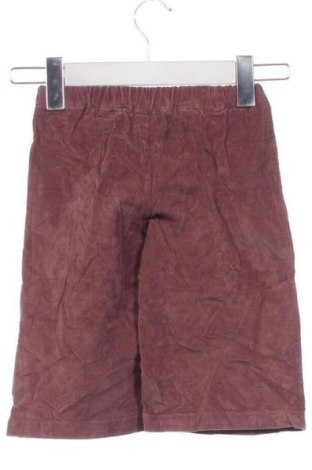 Kinderhose Blu Kids, Größe 12-18m/ 80-86 cm, Farbe Rot, Preis 13,99 €